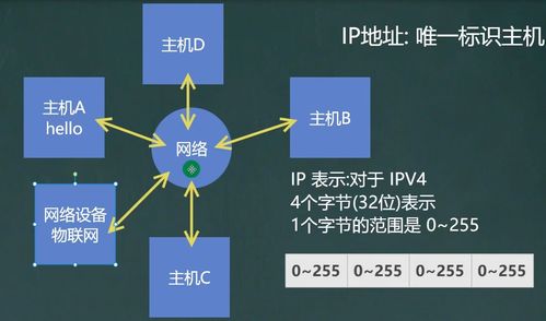 網(wǎng)絡(luò)編程與信息安全軟件開發(fā)基礎(chǔ)概覽